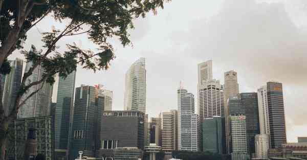 物流大数据复习