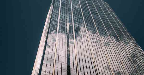 外国语单招大数据的行业文章