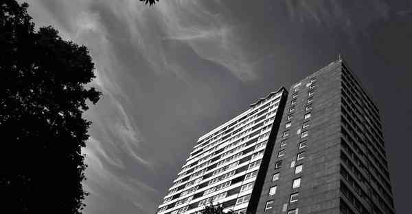 大数据监督掠影（大数据监督社保）