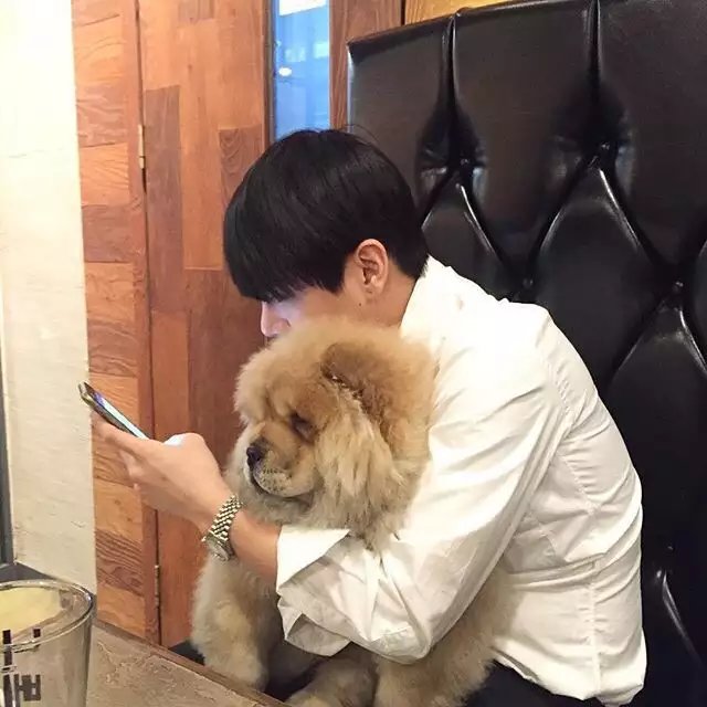 雷志雁强