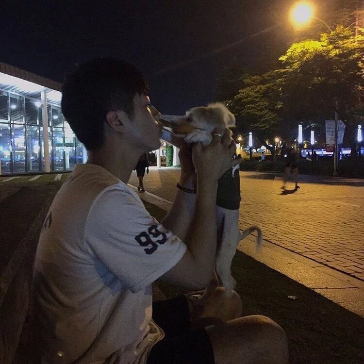 利蝶烁燕