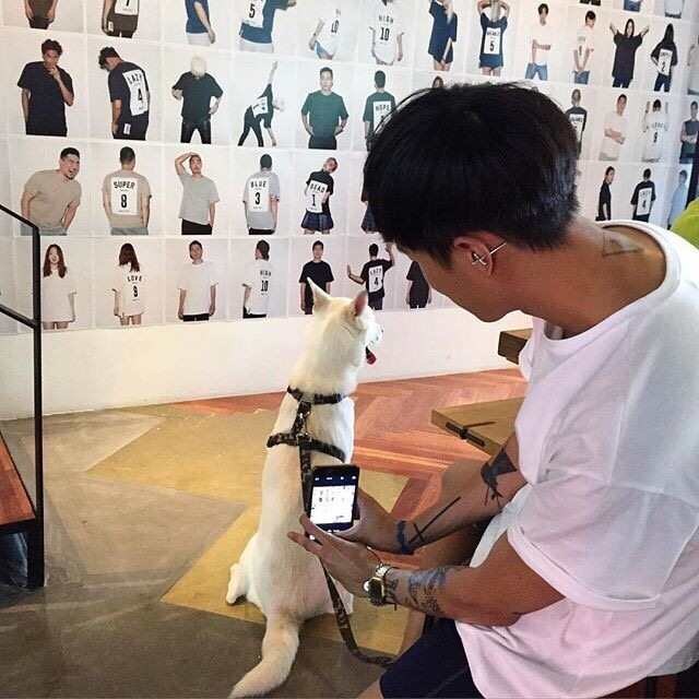 路凡绿宏