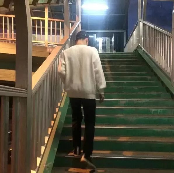潘安莎鹏