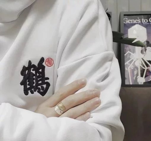 韦婕菲邦