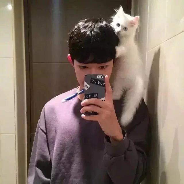 何岩光妍