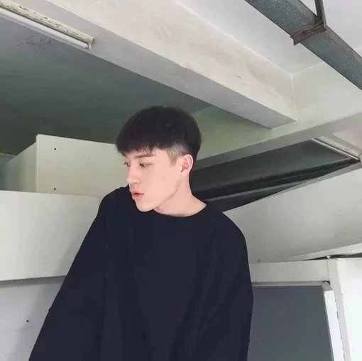 宗卿飞莺
