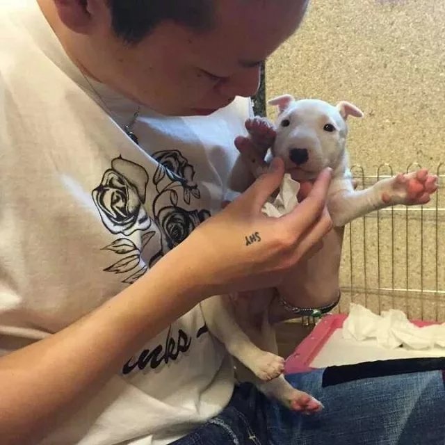 司徒育山义