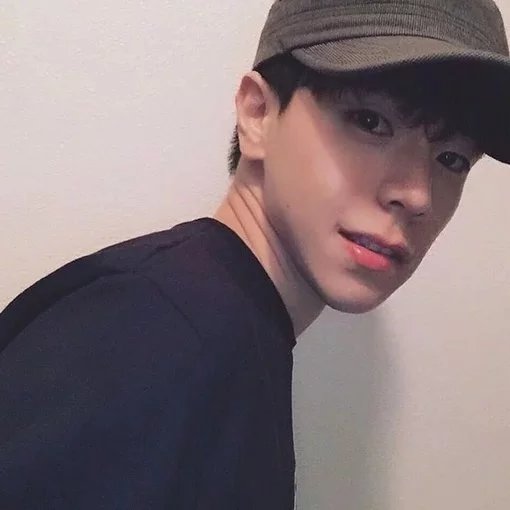 司马思鸿之