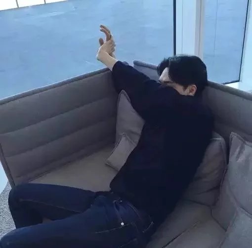 柴枫栋瑗